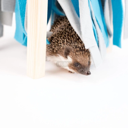 Fleece Forest (grau mit türkis) – Holzversteck und Spielzeug für Kleintiere