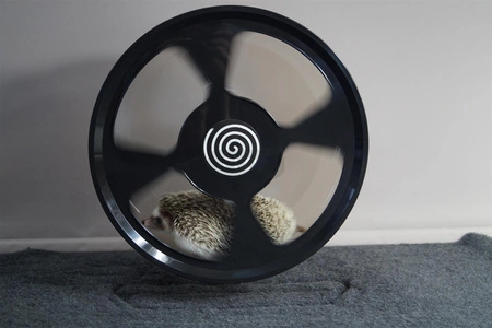 Trixie 33 cm Laufrad für Weißbauchigel + 10 Cleenowheel Einlagen