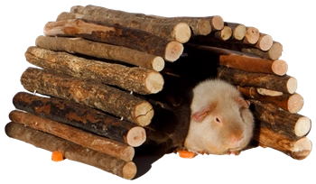 Flexible Naturholzbrücke