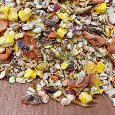 Mixerama Farbratten Päppel-Mischung 500g Erwachsenenfutter für alte, kranke oder haarlose Ratten