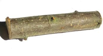 Mit Rinde bedeckter Apfelbaumzweig - SuperFoods Naturkauartikel