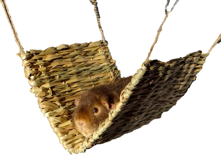 TRIXIE Grashängematte für Nager und Kaninchen - Naturmaterial, 40x29 cm