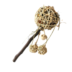 Kräuterlutscher am Apfelstiel