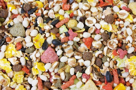 JR FARM Rattenschmaus 2,5kg