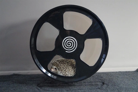 Trixie 33 cm Laufrad für Weißbauchigel + 10 Cleenowheel Einlagen