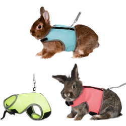 Geschirr mit Leine für Kaninchen