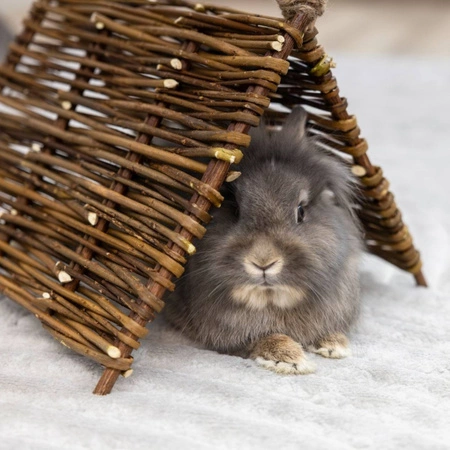 Weidenhütte für Kleintiere – natürliches Haus, Tunnel und Knabber-Spielzeug 3in1