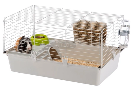 Cavie Käfig 80 mit Grundausstattung