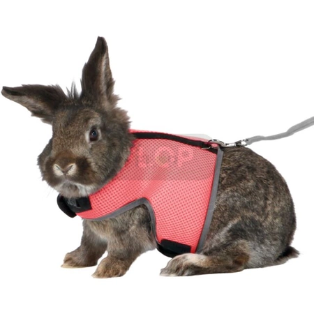 Geschirr mit Leine für Kaninchen