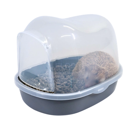 JK Animals Sandbad für Chinchillas und Afrikanische Igel - 26x20x(h)20cm