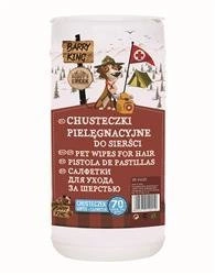 Feuchttücher (antibakteriell, antiseptisch) 70 Stück