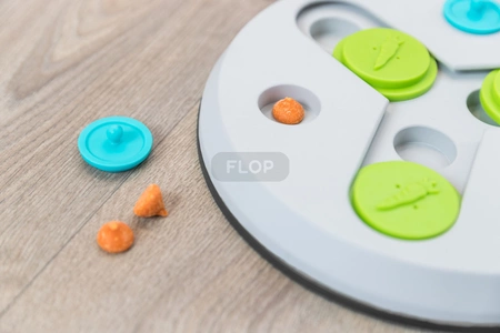 Trixie Slide & Fun Board Brettspiel