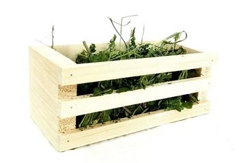 FLOP Rechteckiger Futterautomat aus Holz mit eingebautem Rücken, Boden und Seiten