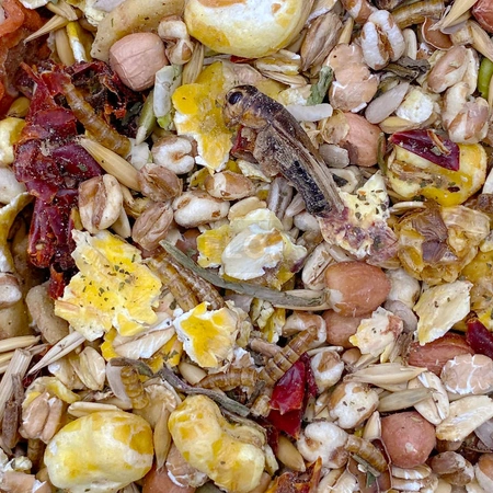 Mixerama Farbratten Päppel-Mischung 500g Erwachsenenfutter für alte, kranke oder haarlose Ratten