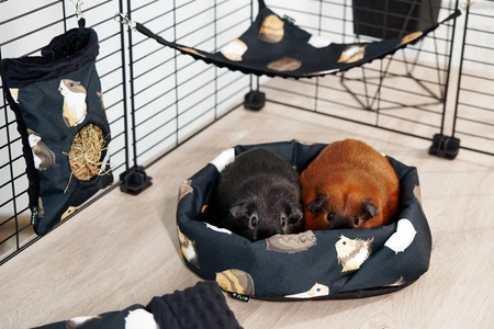 Schwarzes rundes Kuschelbett mit Meerschweinchenmotiv für Kleintiere